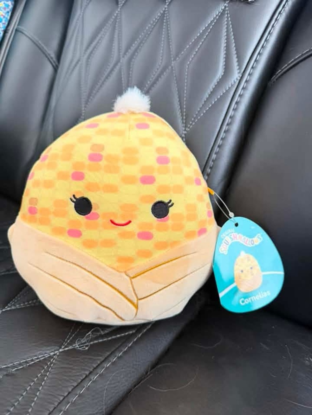 NWT Squishmallow